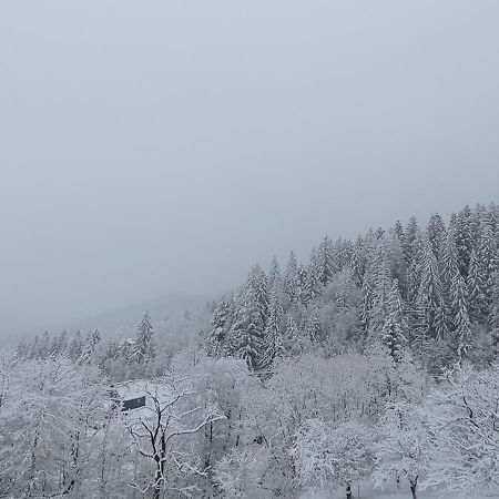 Holiday Home Melodiya Karpat Яремче Екстериор снимка