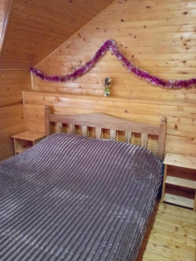 Holiday Home Melodiya Karpat Яремче Екстериор снимка
