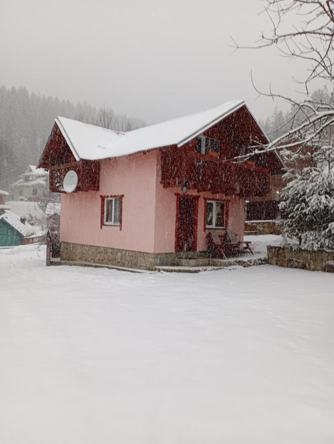 Holiday Home Melodiya Karpat Яремче Екстериор снимка