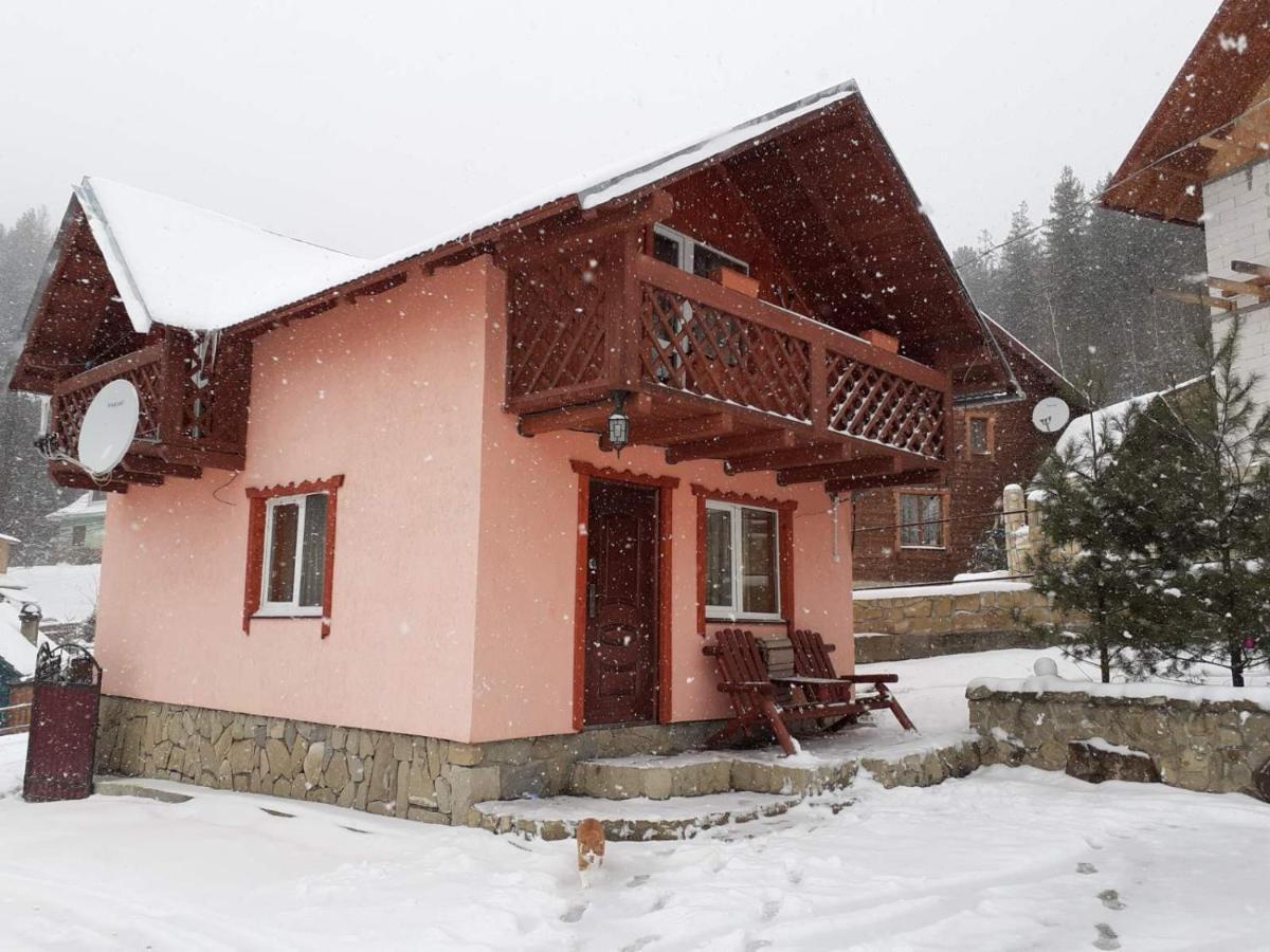 Holiday Home Melodiya Karpat Яремче Екстериор снимка