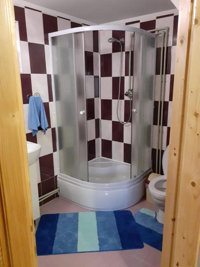 Holiday Home Melodiya Karpat Яремче Екстериор снимка